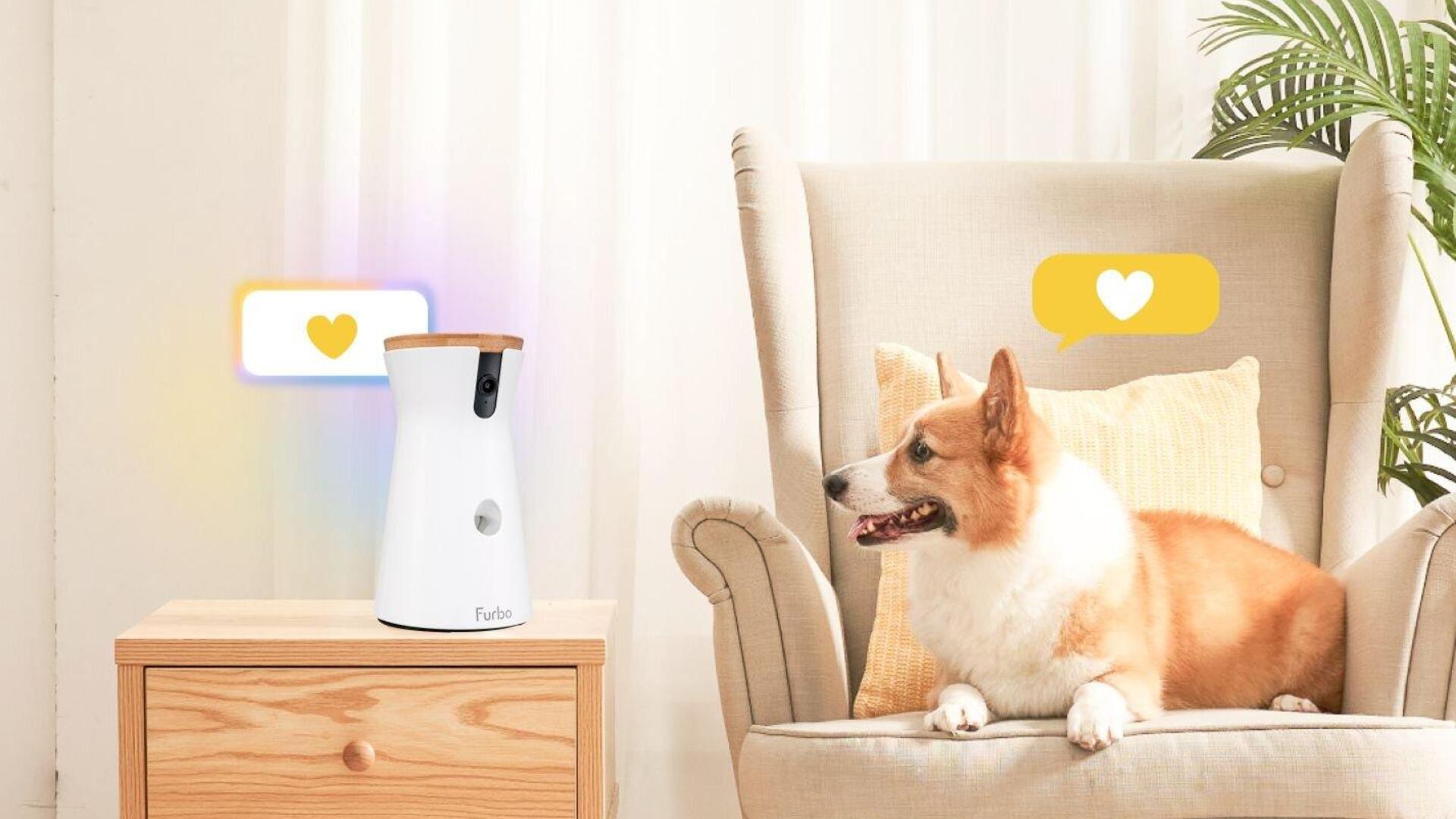 Furbo 360 dog camera with treat tossing and bark alerts